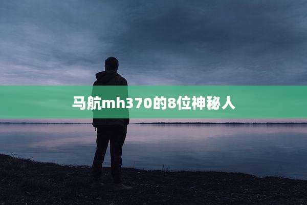 马航mh370的8位神秘人