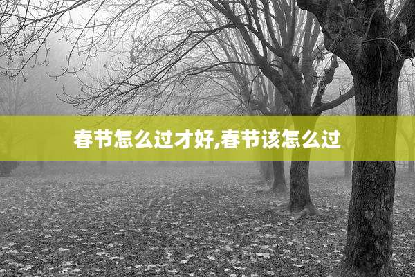 春节怎么过才好,春节该怎么过
