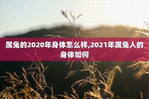 属兔的2020年身体怎么样,2021年属兔人的身体如何