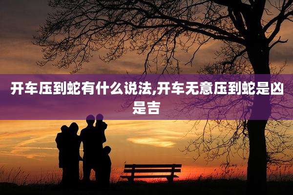 开车压到蛇有什么说法,开车无意压到蛇是凶是吉