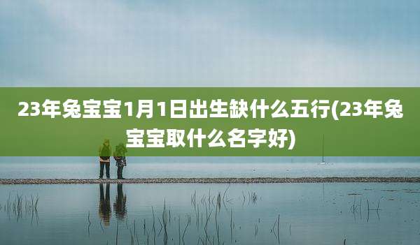 23年兔宝宝1月1日出生缺什么五行(23年兔宝宝取什么名字好)