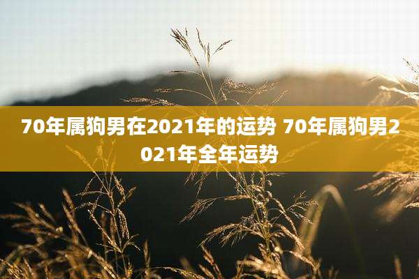 70年属狗男在2021年的运势 70年属狗男2021年全年运势