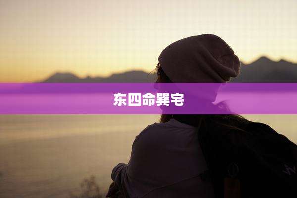 东四命巽宅