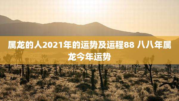 属龙的人2021年的运势及运程88 八八年属龙今年运势