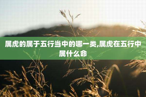 属虎的属于五行当中的哪一类,属虎在五行中属什么命