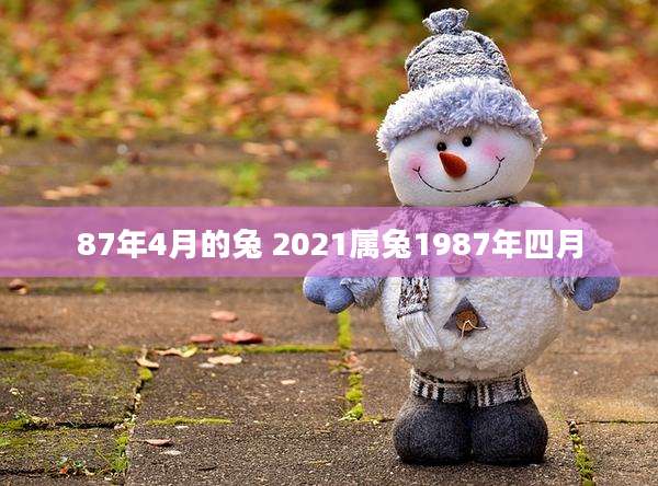 87年4月的兔 2021属兔1987年四月
