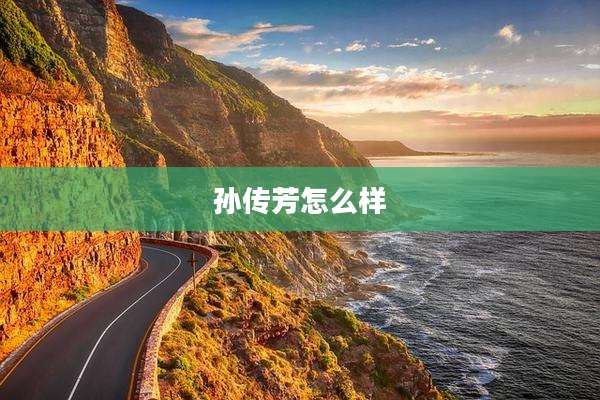 孙传芳怎么样