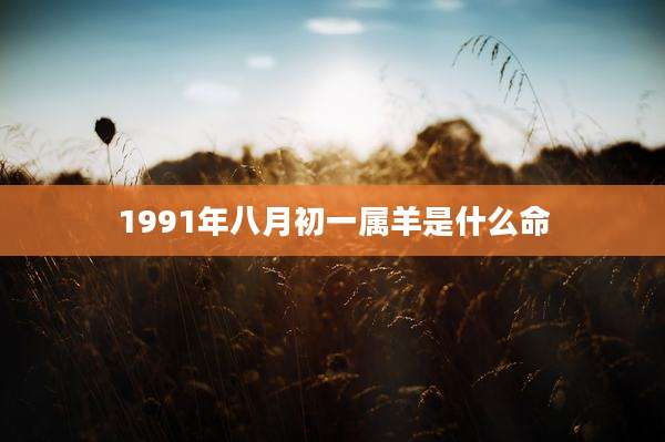 1991年八月初一属羊是什么命