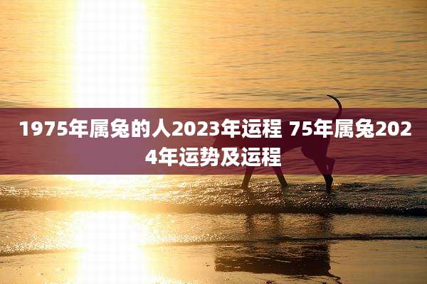 1975年属兔的人2023年运程 75年属兔2024年运势及运程