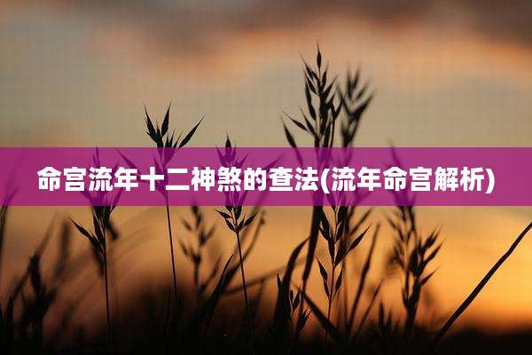 命宫流年十二神煞的查法(流年命宫解析)