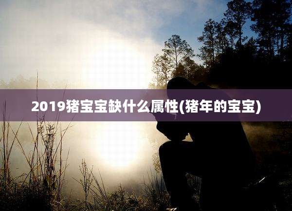 2019猪宝宝缺什么属性(猪年的宝宝)