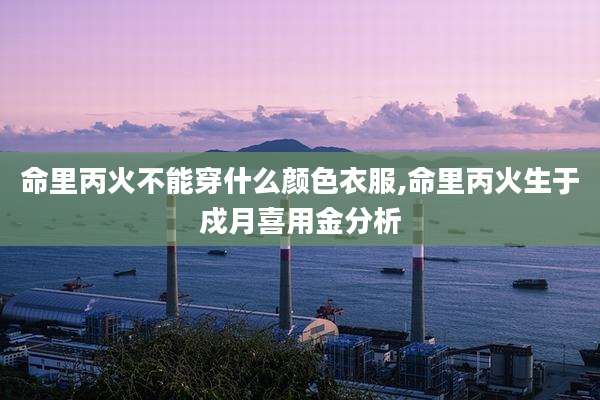命里丙火不能穿什么颜色衣服,命里丙火生于戍月喜用金分析