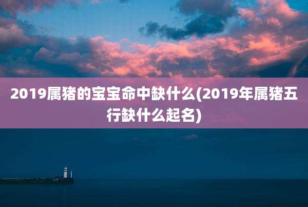 2019属猪的宝宝命中缺什么(2019年属猪五行缺什么起名)