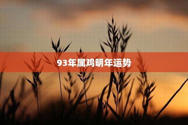 93年属鸡明年运势