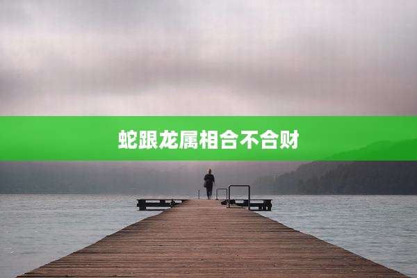 蛇跟龙属相合不合财