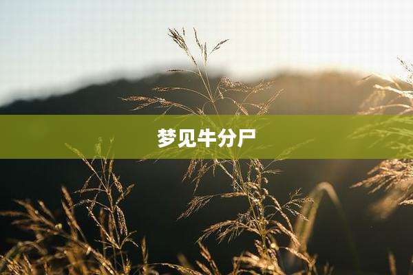 梦见牛分尸