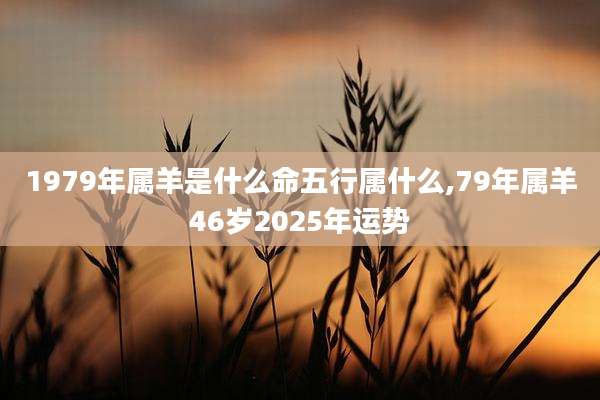 1979年属羊是什么命五行属什么,79年属羊46岁2025年运势