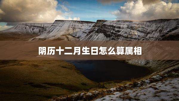 阴历十二月生日怎么算属相