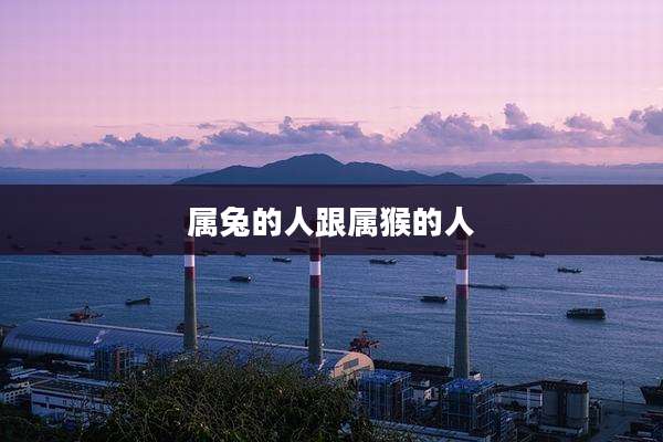 属兔的人跟属猴的人