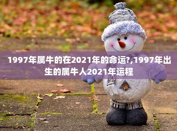 1997年属牛的在2021年的命运?,1997年出生的属牛人2021年运程