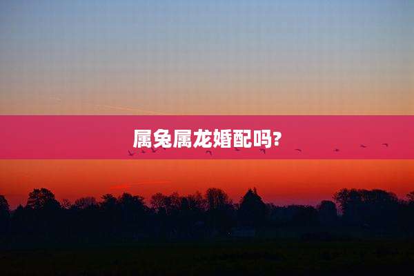属兔属龙婚配吗?