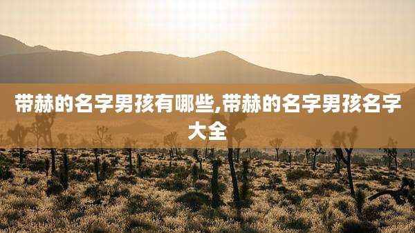 带赫的名字男孩有哪些,带赫的名字男孩名字大全