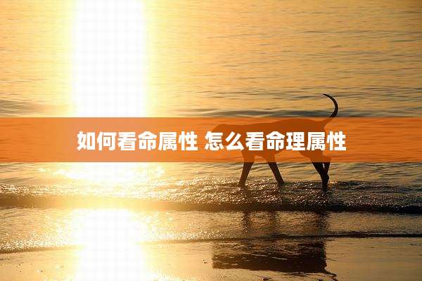 如何看命属性 怎么看命理属性