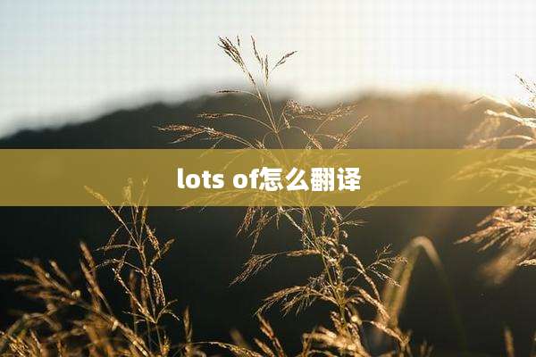 lots of怎么翻译