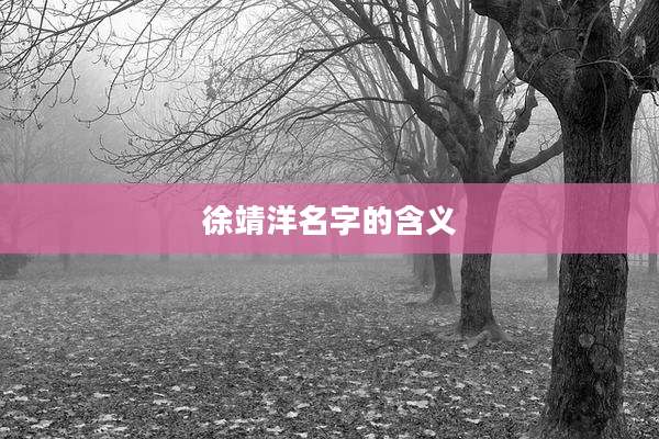 徐靖洋名字的含义