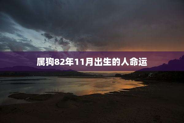 属狗82年11月出生的人命运