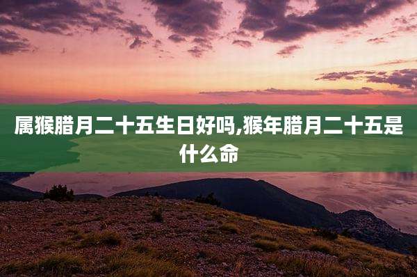 属猴腊月二十五生日好吗,猴年腊月二十五是什么命