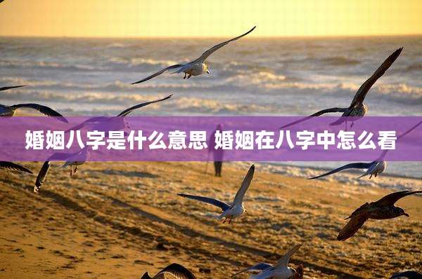 婚姻八字是什么意思 婚姻在八字中怎么看