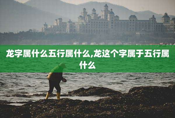 龙字属什么五行属什么,龙这个字属于五行属什么