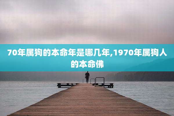 70年属狗的本命年是哪几年,1970年属狗人的本命佛