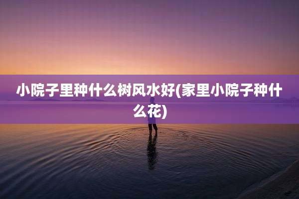 小院子里种什么树风水好(家里小院子种什么花)