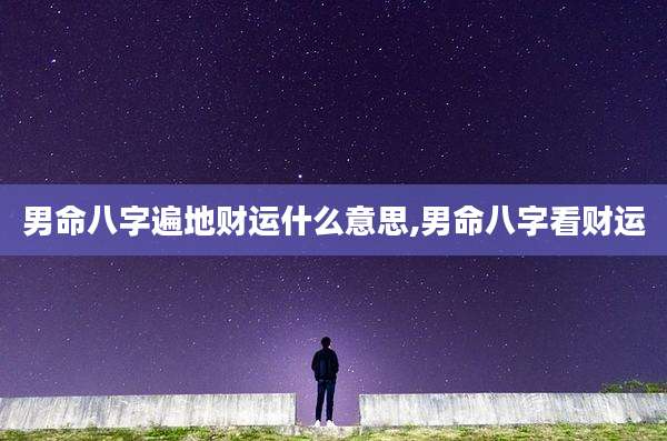 男命八字遍地财运什么意思,男命八字看财运