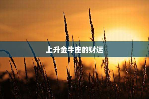 上升金牛座的财运