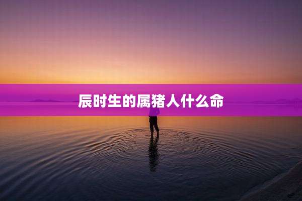 辰时生的属猪人什么命