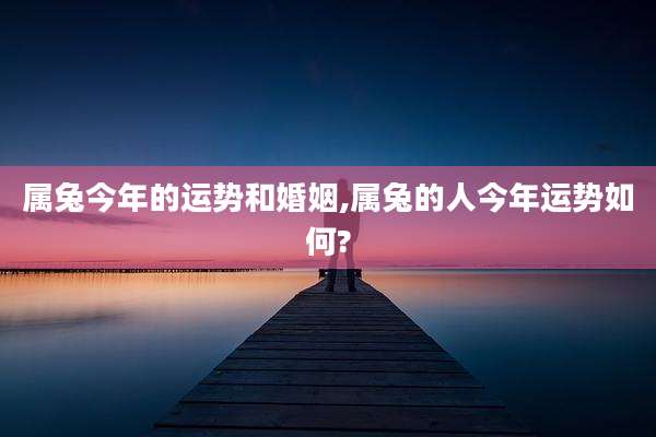 属兔今年的运势和婚姻,属兔的人今年运势如何?