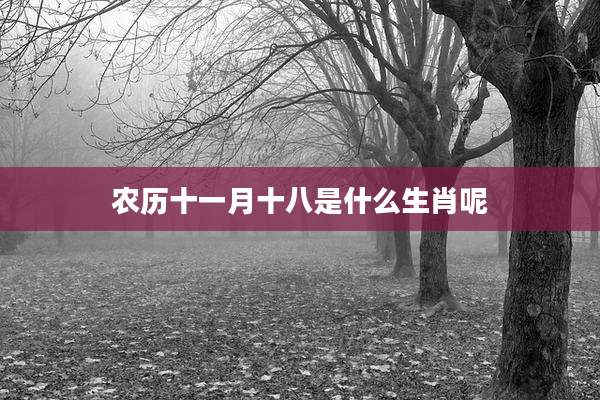 农历十一月十八是什么生肖呢