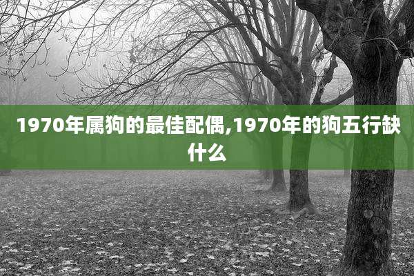 1970年属狗的最佳配偶,1970年的狗五行缺什么