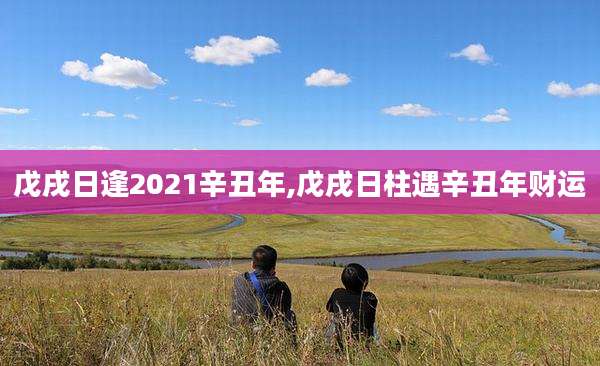 戊戌日逢2021辛丑年,戊戌日柱遇辛丑年财运