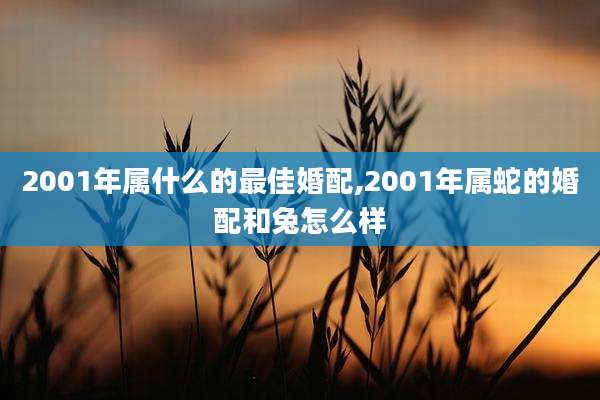 2001年属什么的最佳婚配,2001年属蛇的婚配和兔怎么样