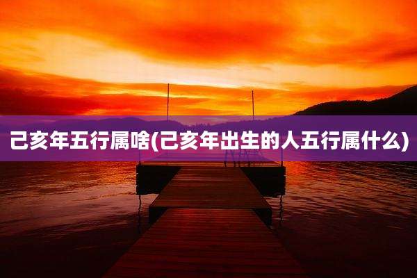 己亥年五行属啥(己亥年出生的人五行属什么)