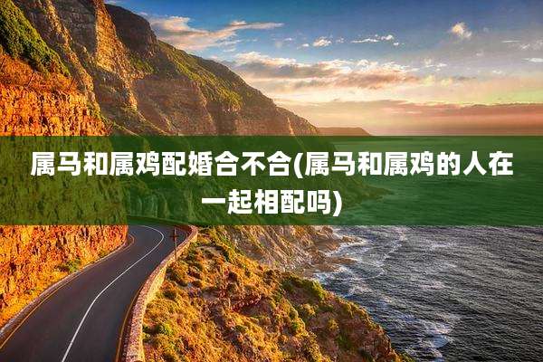 属马和属鸡配婚合不合(属马和属鸡的人在一起相配吗)