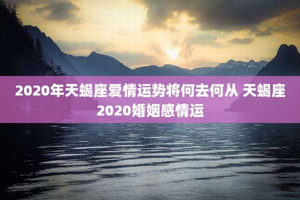 2020年天蝎座爱情运势将何去何从 天蝎座2020婚姻感情运