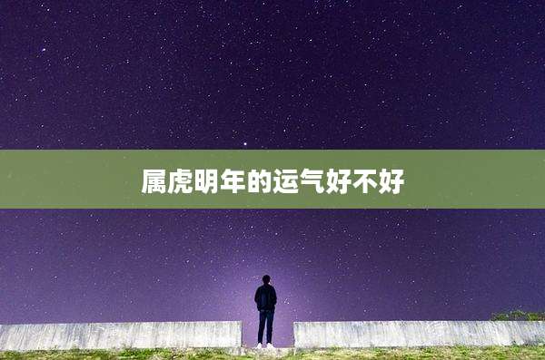 属虎明年的运气好不好