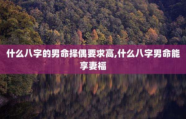 什么八字的男命择偶要求高,什么八字男命能享妻福