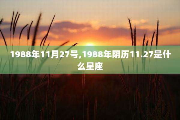 1988年11月27号,1988年阴历11.27是什么星座