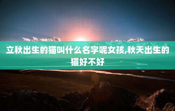 立秋出生的猫叫什么名字呢女孩,秋天出生的猫好不好